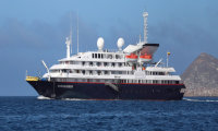 Z-OLD Silver Galapagos Z-OLD Silver Galapagos