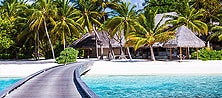 Caribbean Caribbean